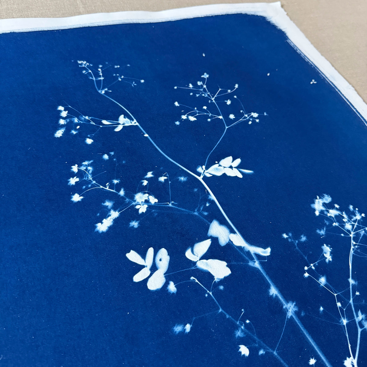 To Pay Attention - UNFRAMED