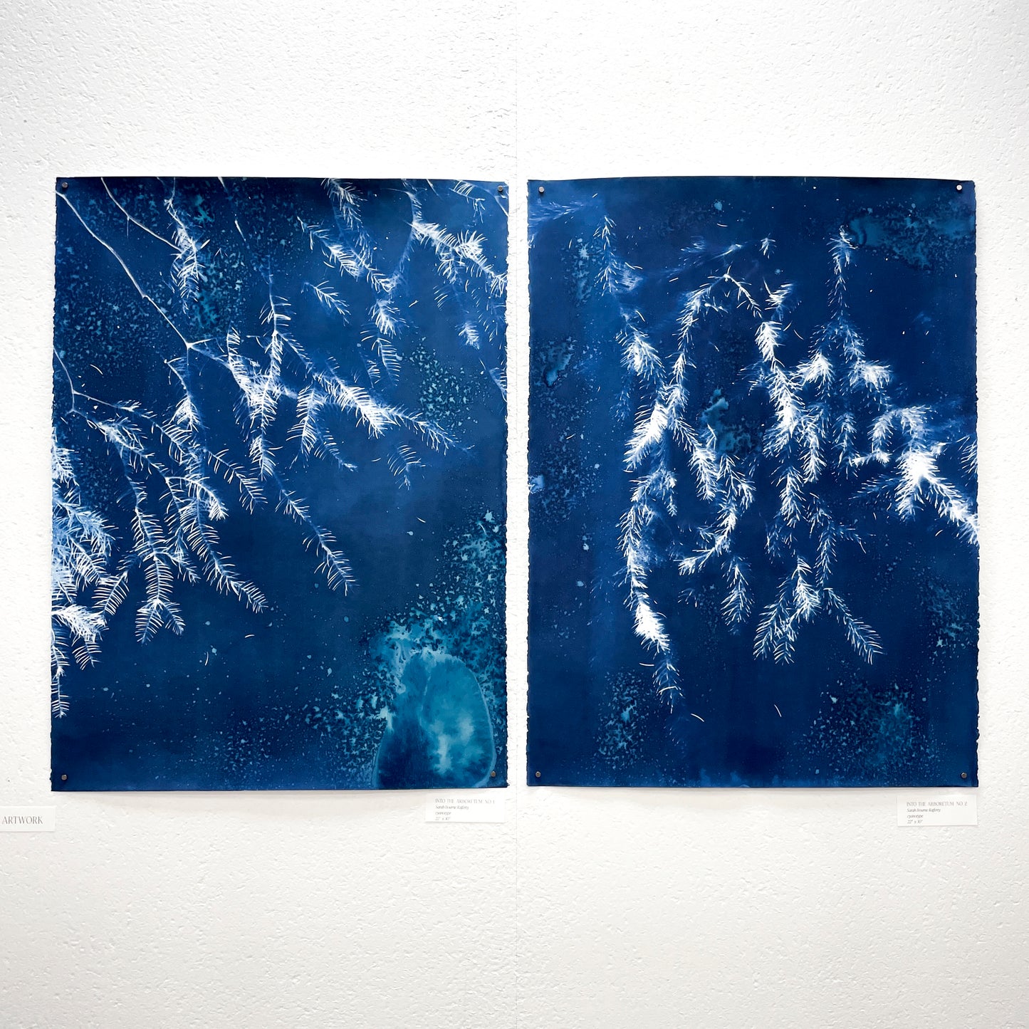 Into the Arboretum no. 2