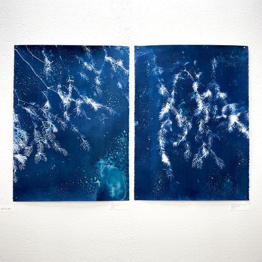 Into the Arboretum no. 1