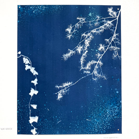 Into the Arboretum no. 3 - 20"x28" - UNFRAMED