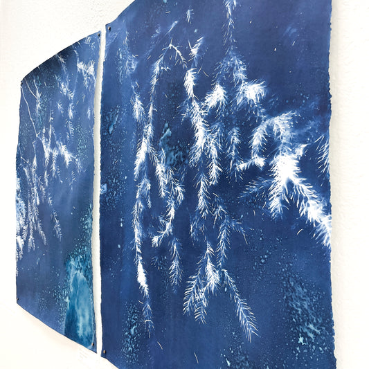 Into the Arboretum no. 2