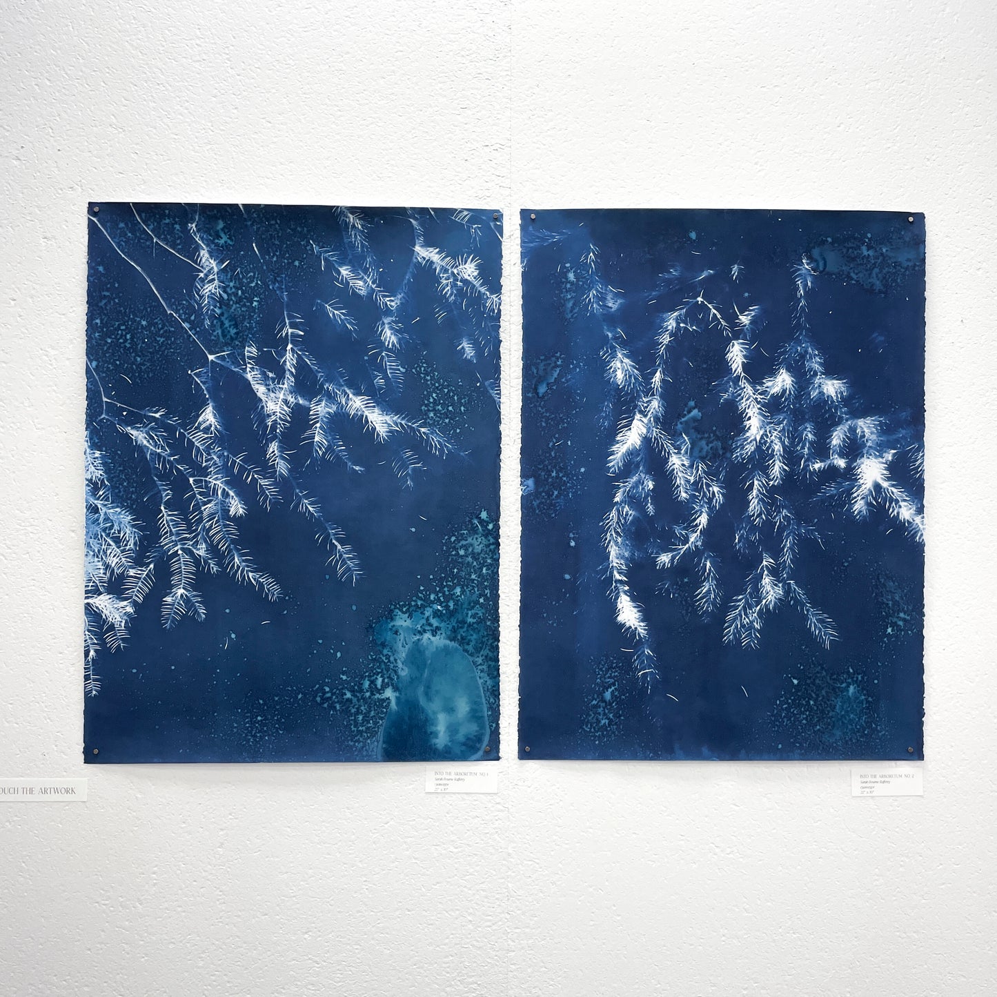 Into the Arboretum no. 1