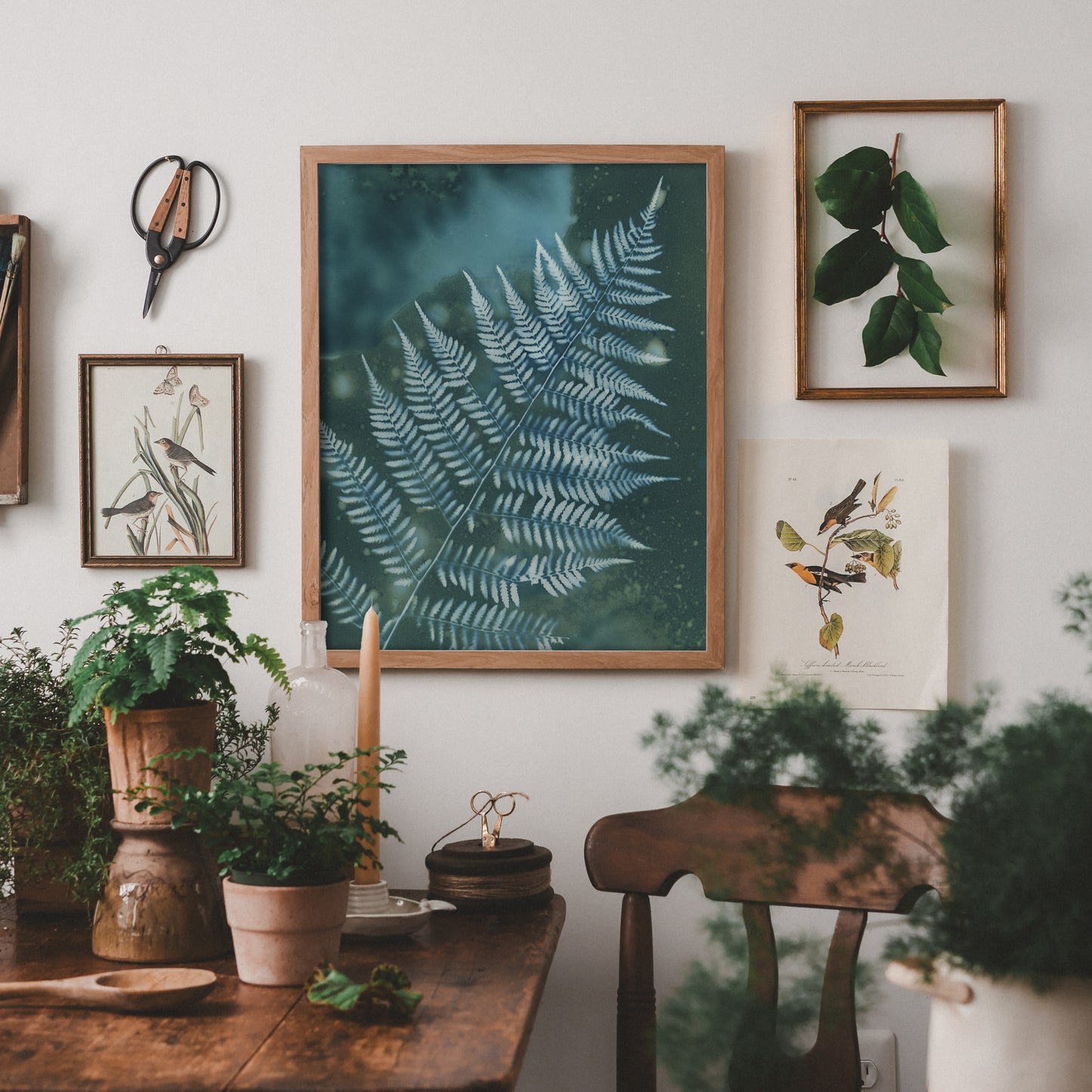 Rainy Day Fern