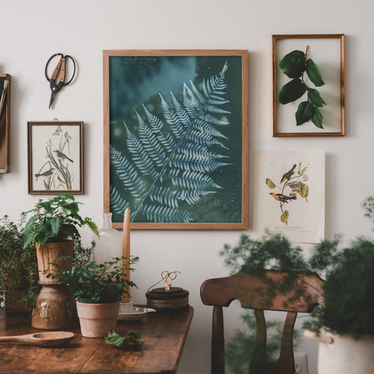 Rainy Day Fern