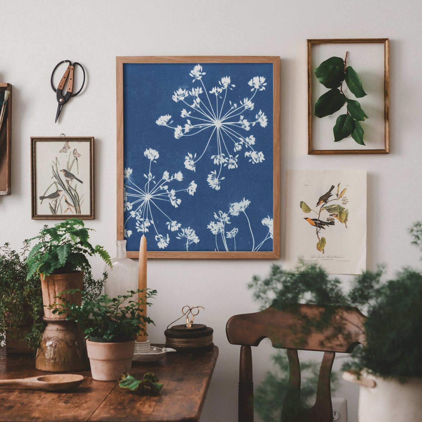 Starburst of Ideas