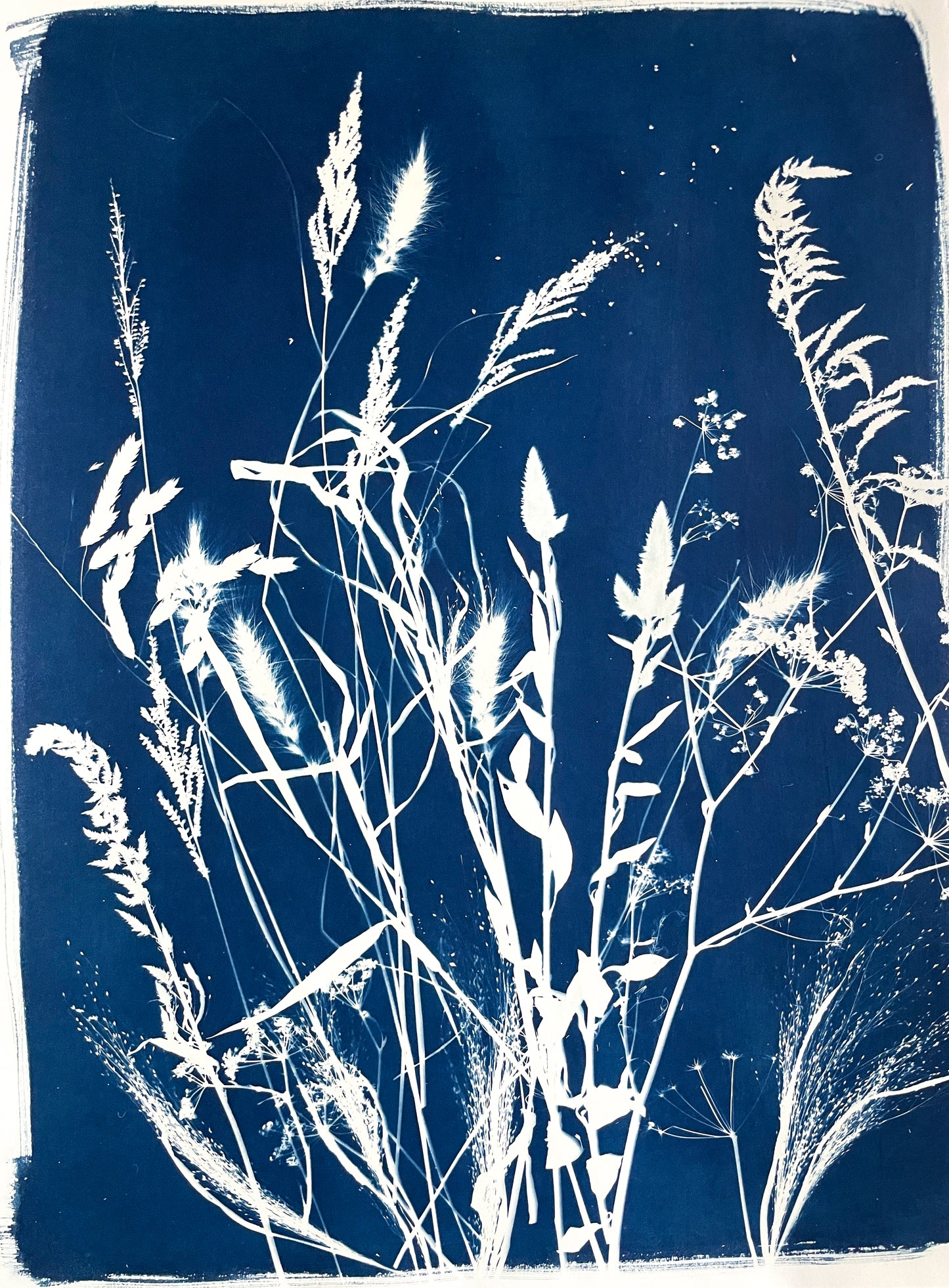 The Wild Garden no. 10 - FRAMED