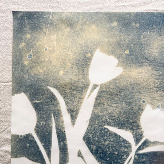 Tulip Dance no. 10 - 15" x 20" - UNFRAMED