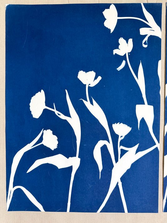 Tulip Dance no. 4 - diptych - 20" x 27" - UNFRAMED