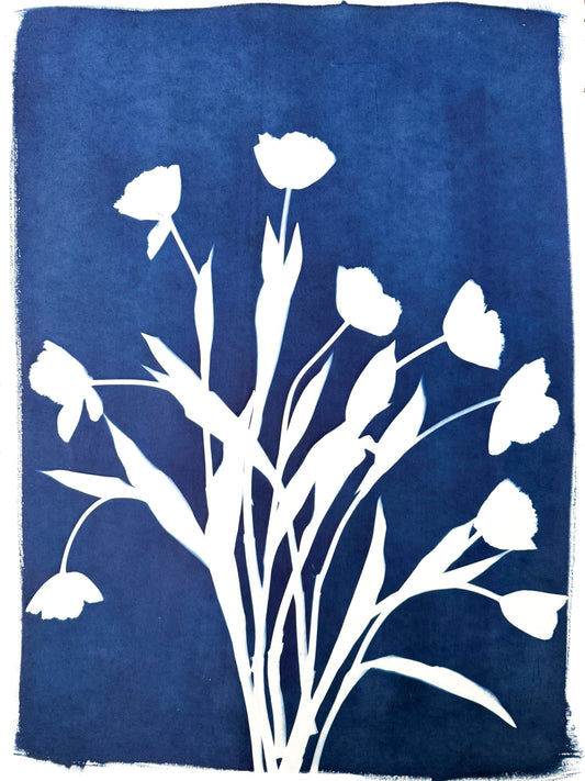 Tulip Dance no. 2 - 22" x 30" - UNFRAMED
