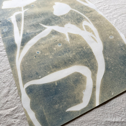 Tulip Dance no. 9 - 11" x 17" - UNFRAMED