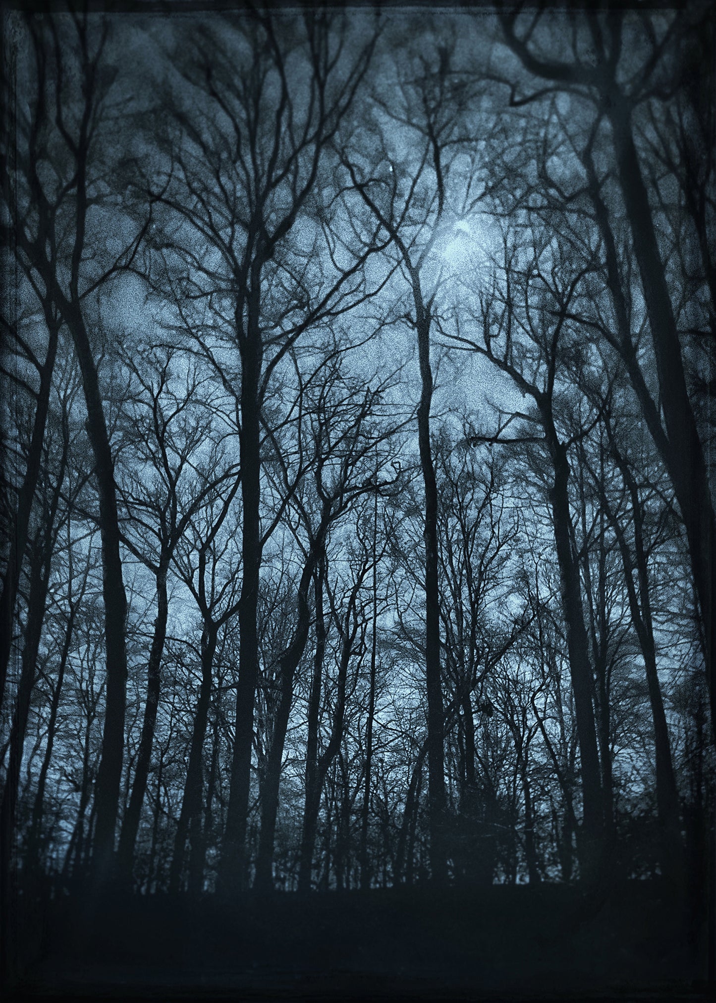 Custom Listing for Steve