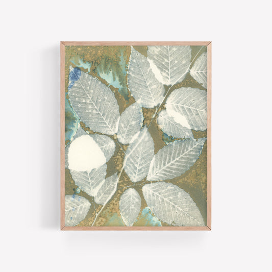 Beech Leaves no. 2
