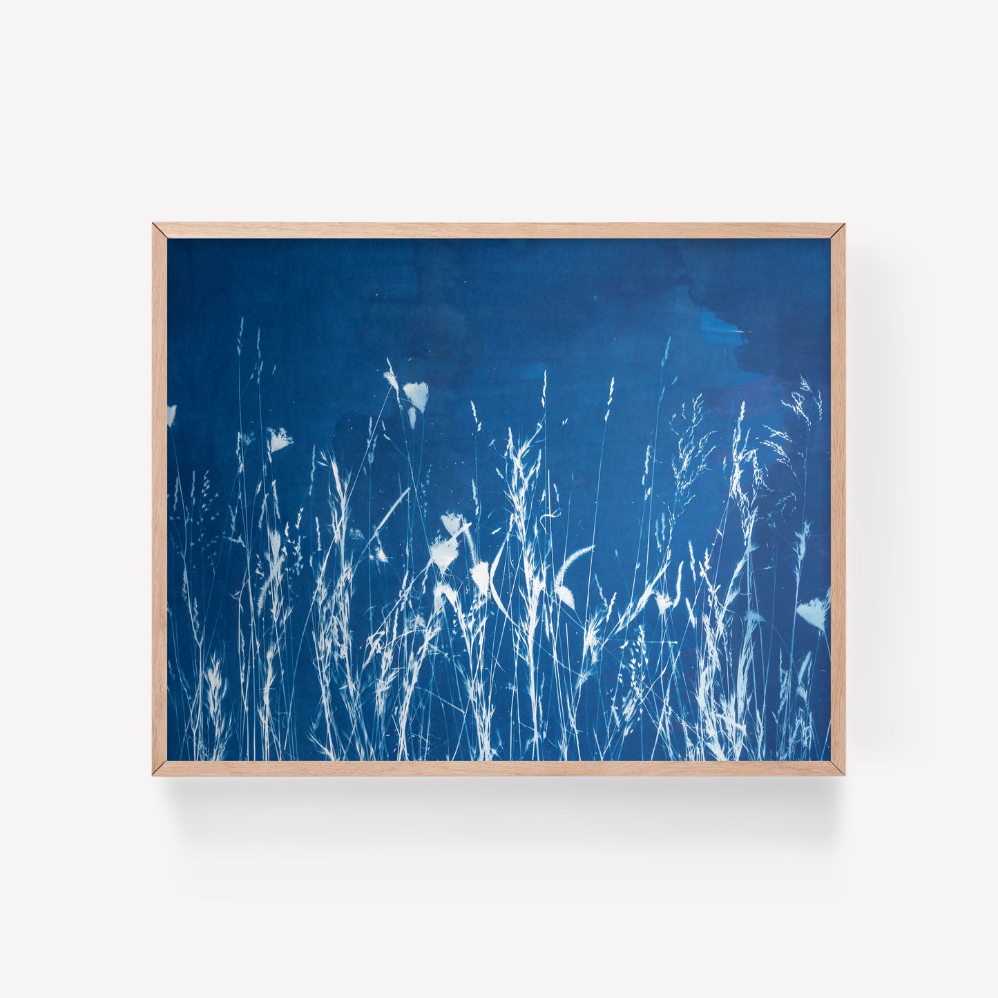 Field of Dreams