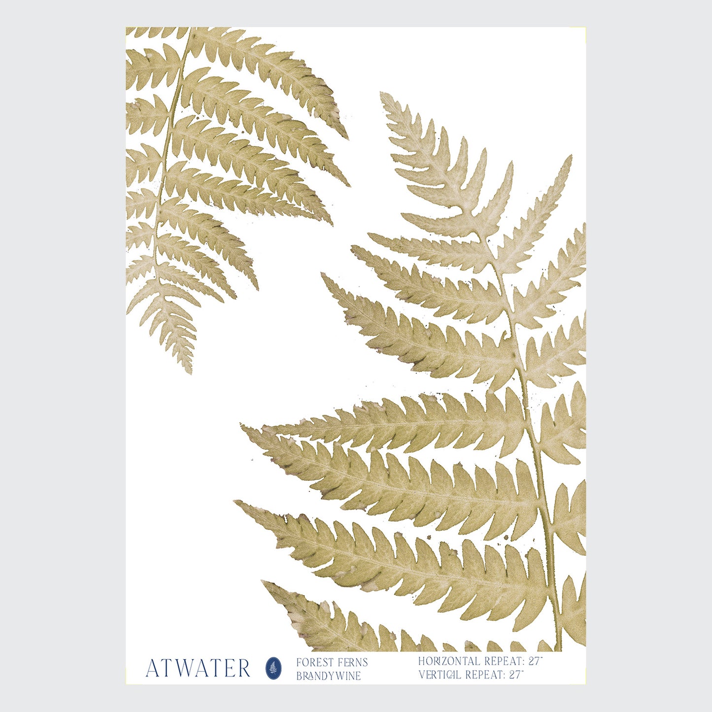 Forest Ferns Wallpaper in Brandywine