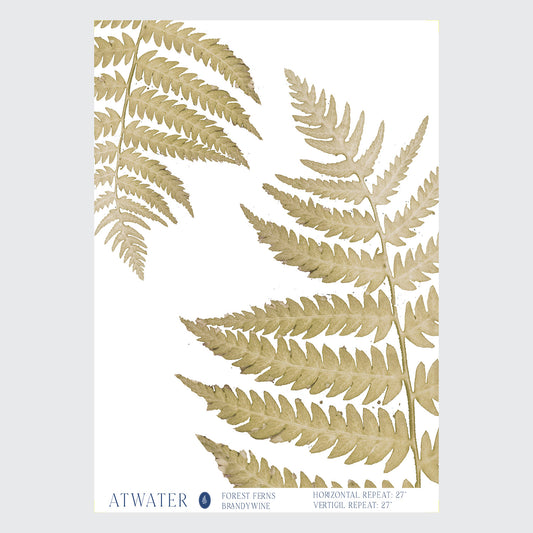 Forest Ferns Wallpaper in Brandywine