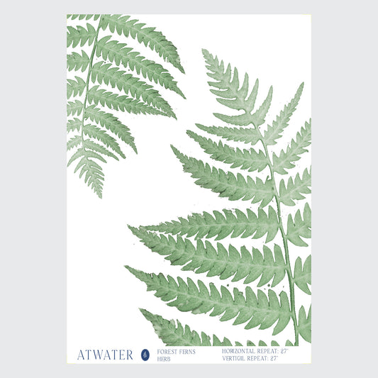 Forest Ferns Wallpaper in Herb