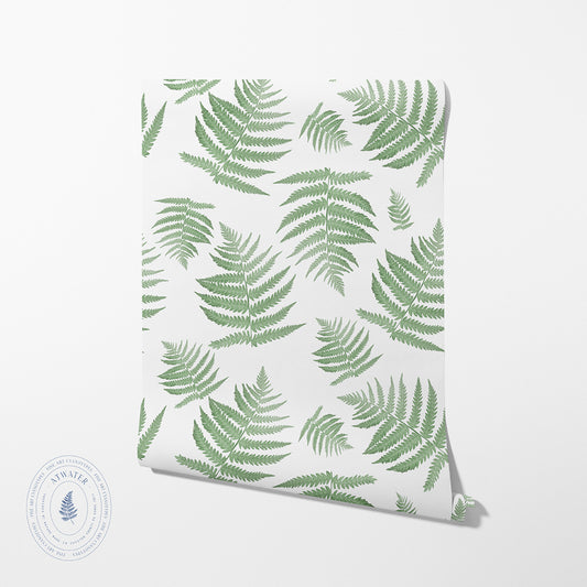 Forest Ferns Wallpaper in Herb