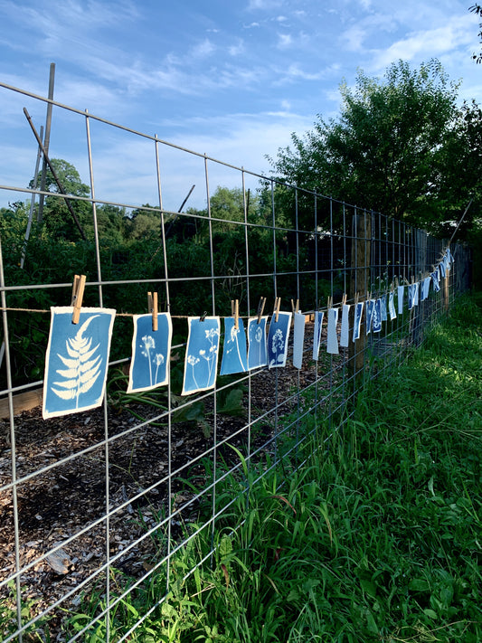 May 23 - Cyanotype Basics Workshop