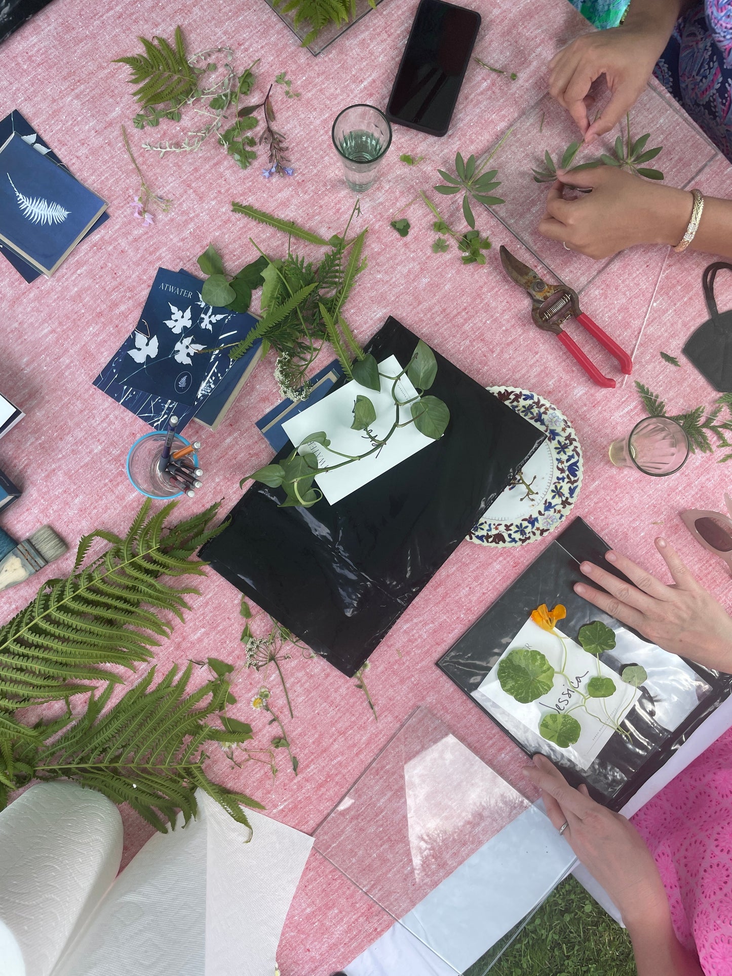 June 13 - Advanced Cyanotype Workshop