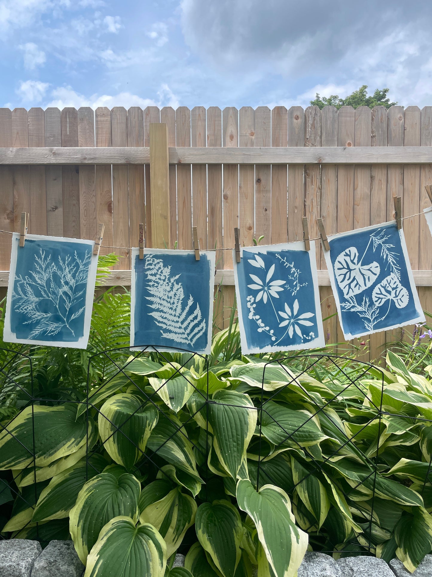 June 13 - Advanced Cyanotype Workshop