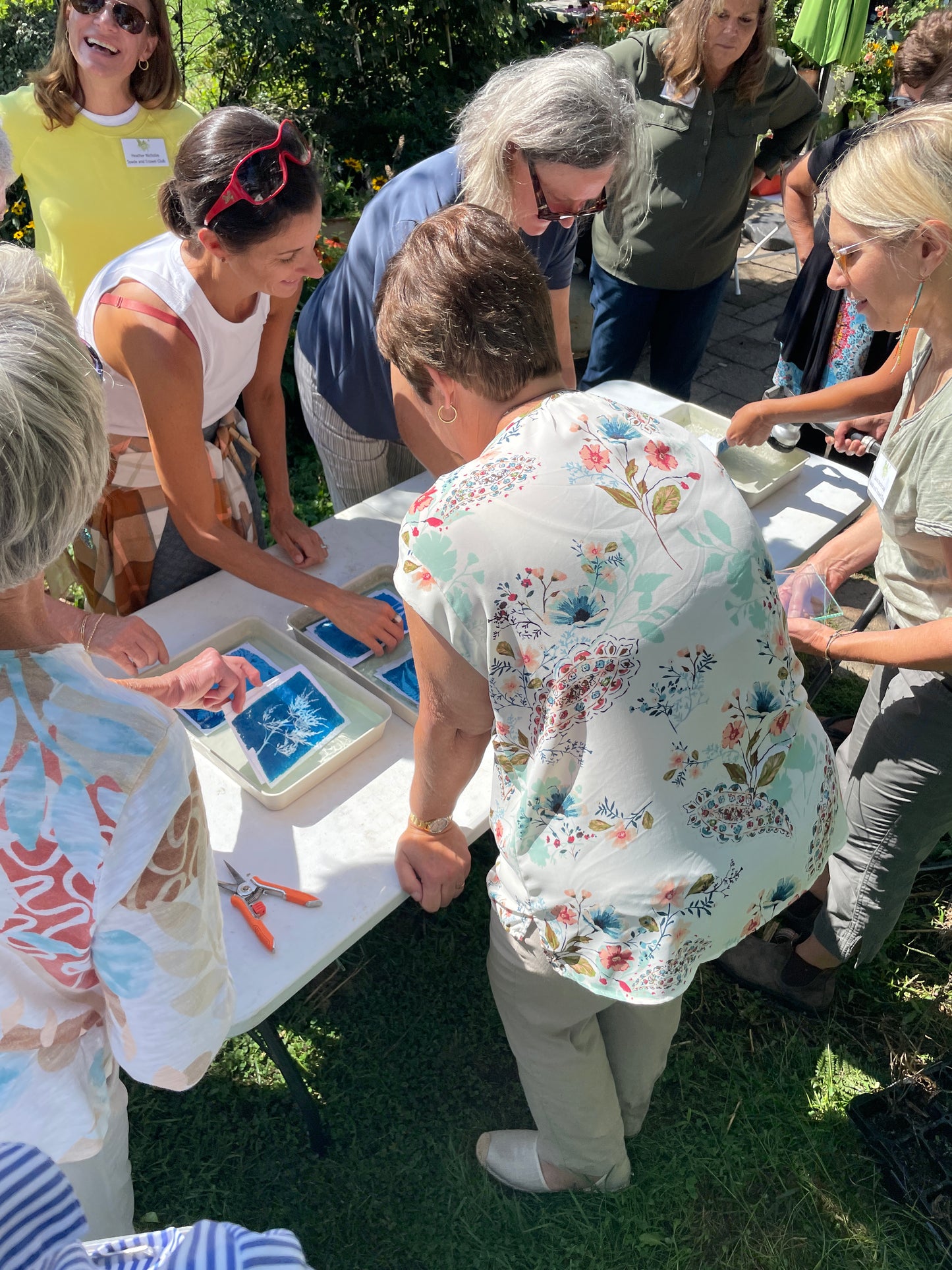 June 13 - Advanced Cyanotype Workshop