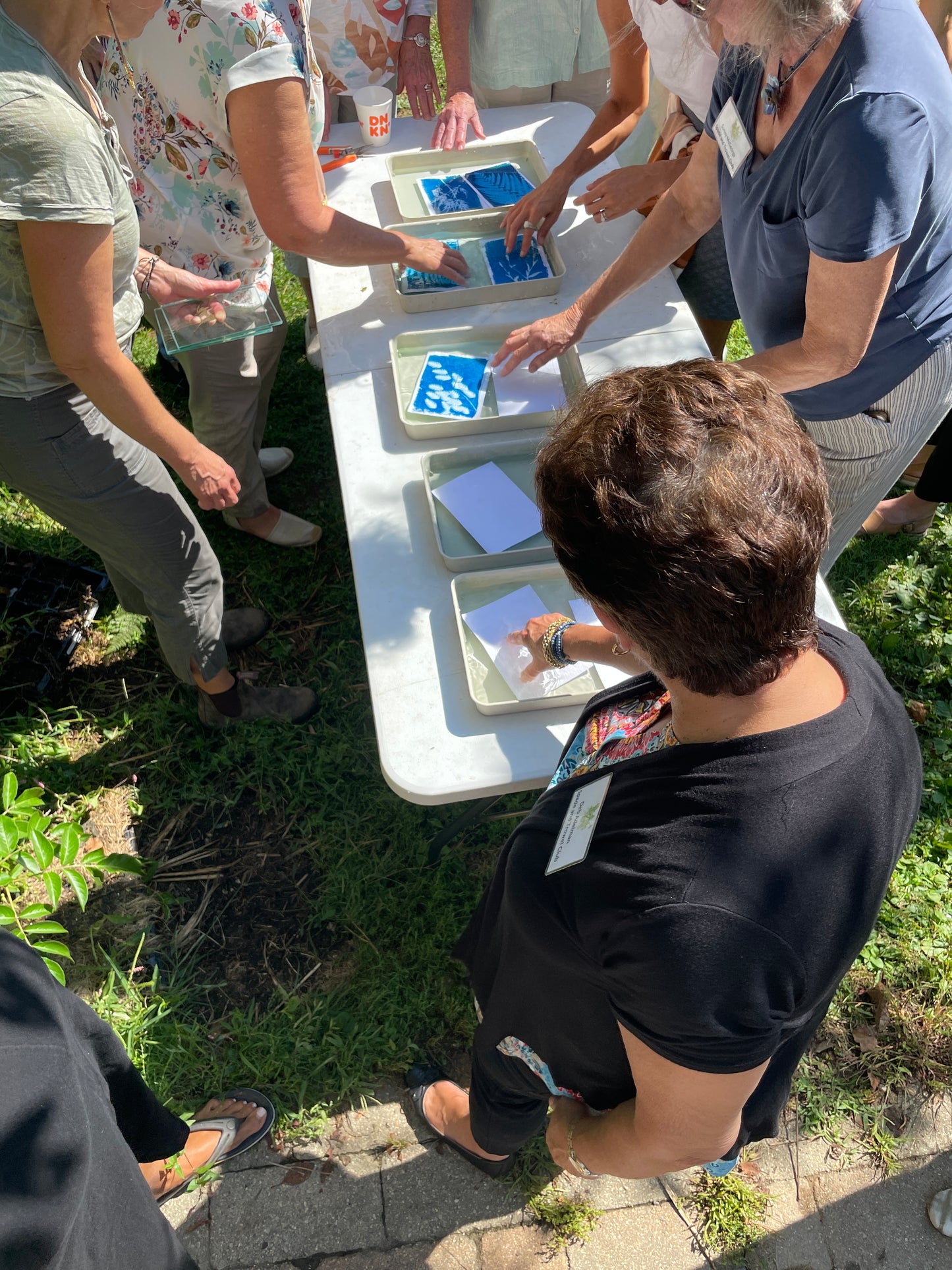June 13 - Advanced Cyanotype Workshop