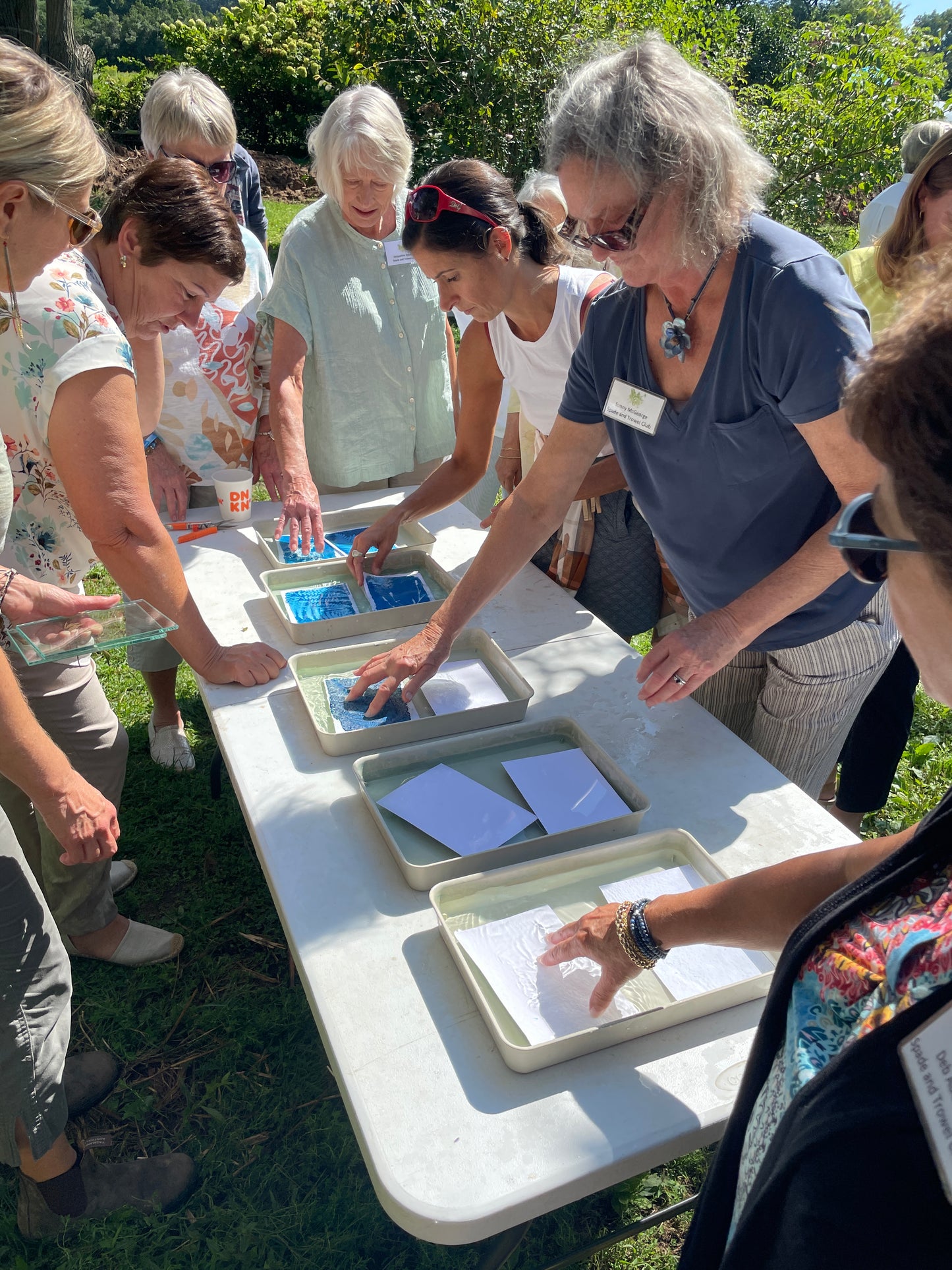 June 13 - Advanced Cyanotype Workshop