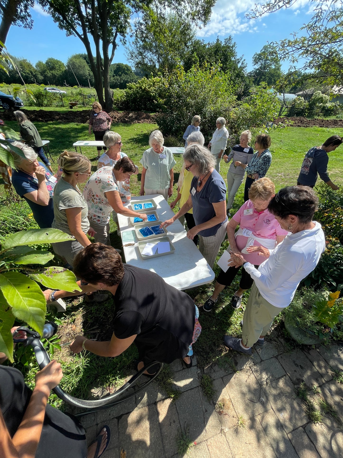 June 13 - Advanced Cyanotype Workshop