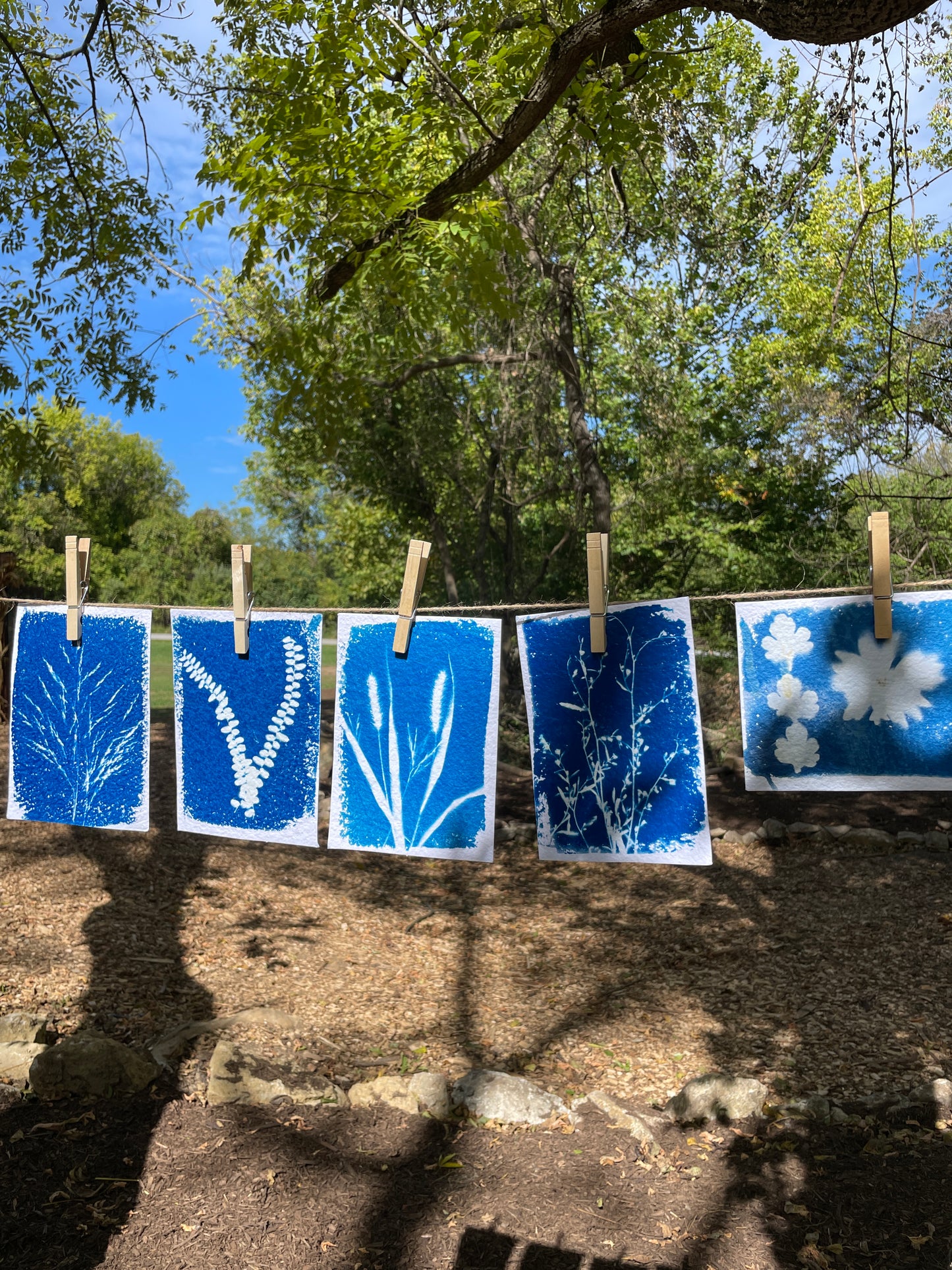 June 13 - Advanced Cyanotype Workshop
