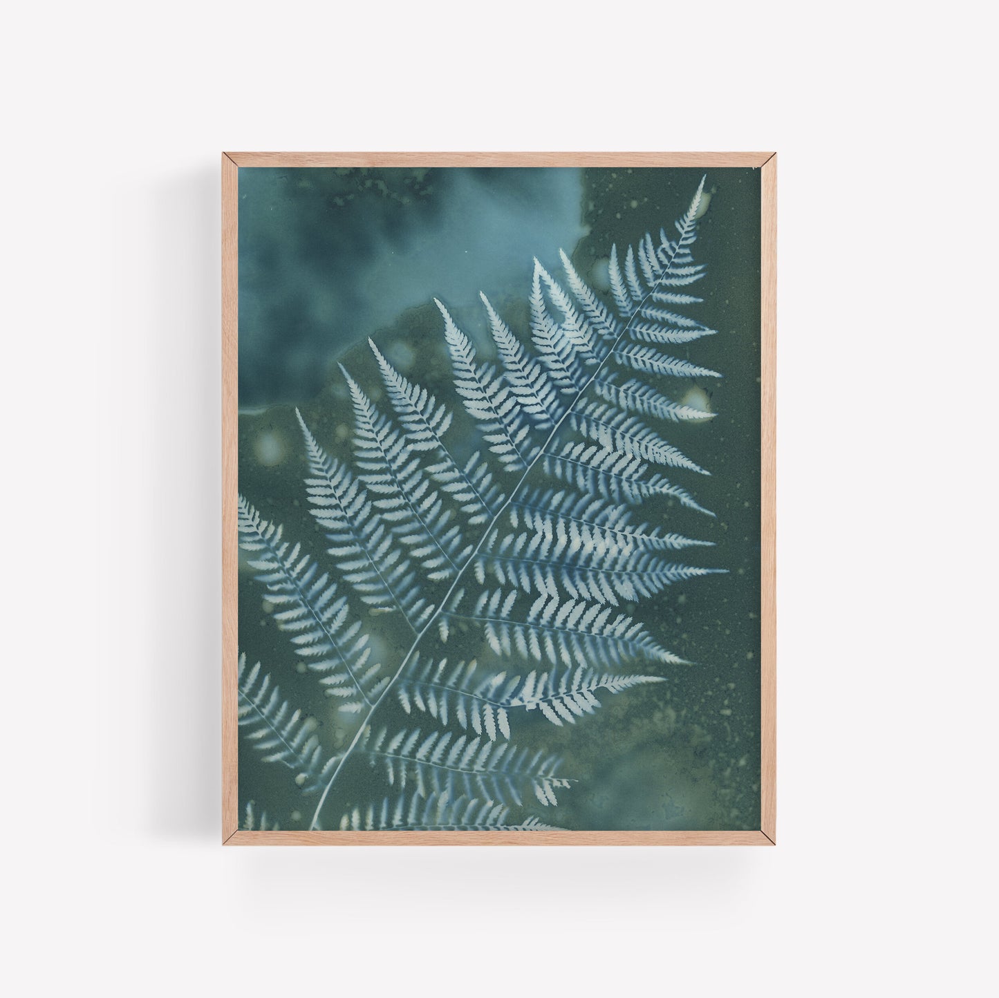 Rainy Day Fern