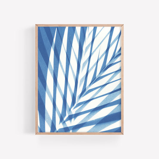 Sun Palm