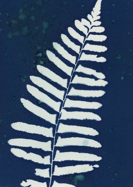 25 Days - Dec 8 - Summer Ferns