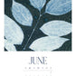 2024 Wall Calendar