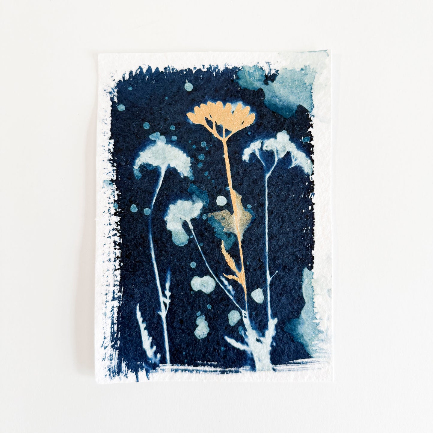 25 Days - Dec 25 - A World of Delights