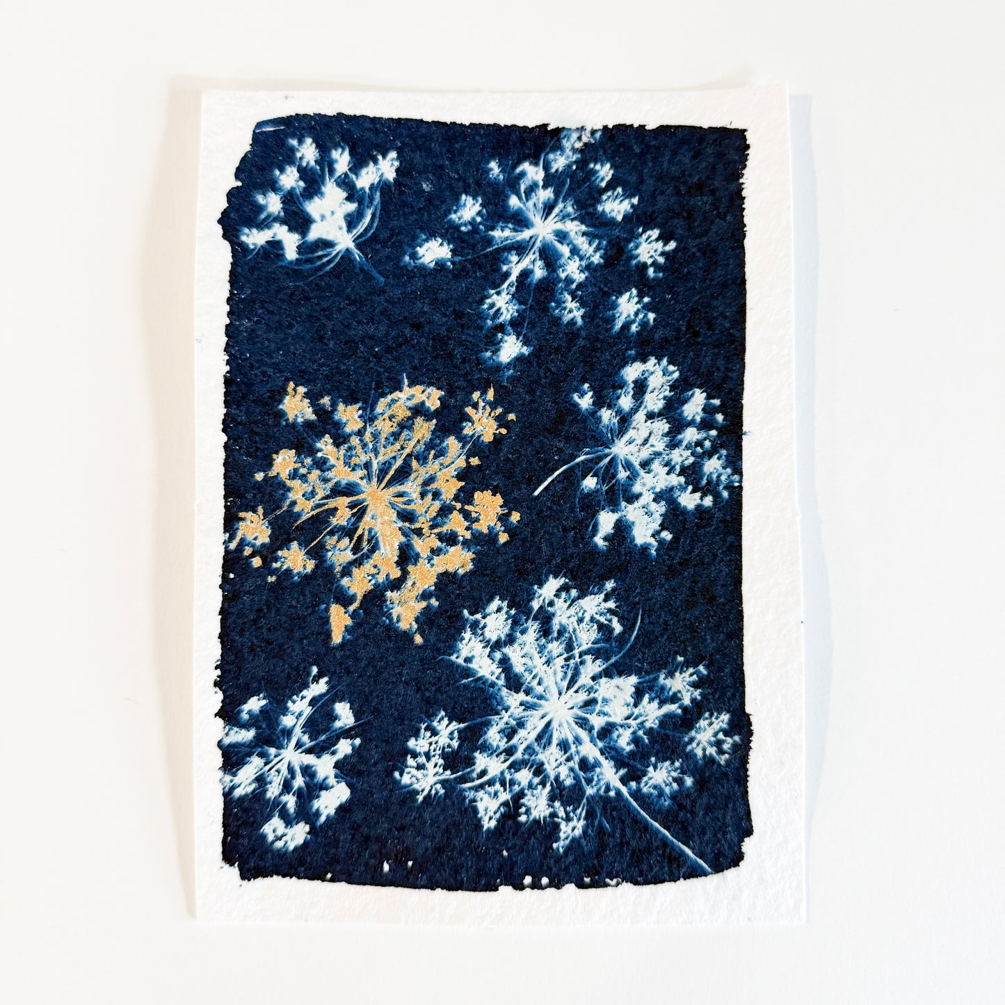 25 Days - Dec 5 - A World of Delights no. 5