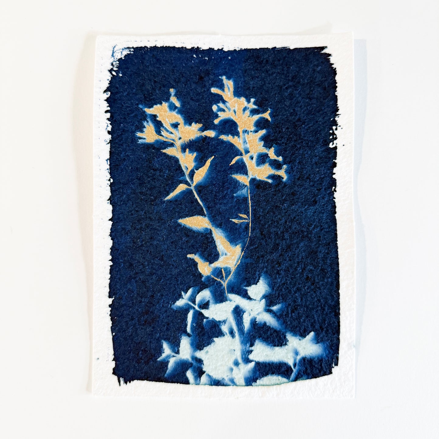 25 Days - Dec 7 - A World of Delights no. 7