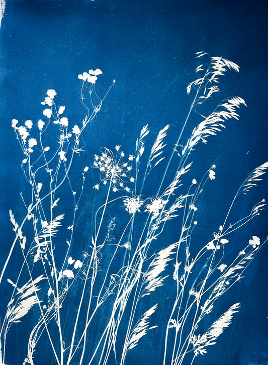 The Cyanotype Creation Kit - Atwater Designs
