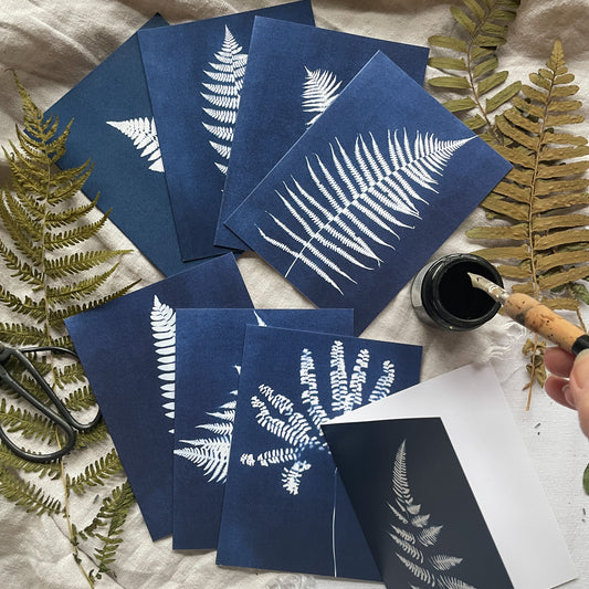 Ferns Boxed Set - Greeting Cards