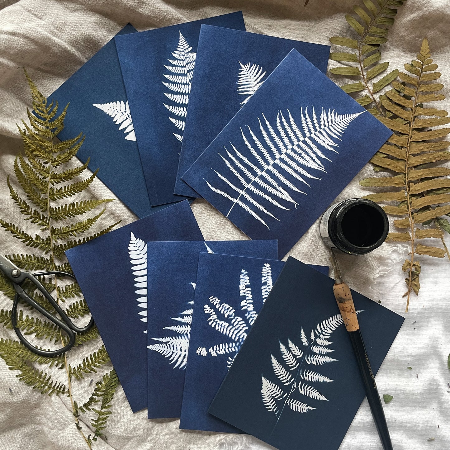 Ferns Boxed Set - Greeting Cards