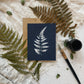 Ferns Boxed Set - Greeting Cards