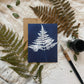 Ferns Boxed Set - Greeting Cards