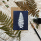 Ferns Boxed Set - Greeting Cards