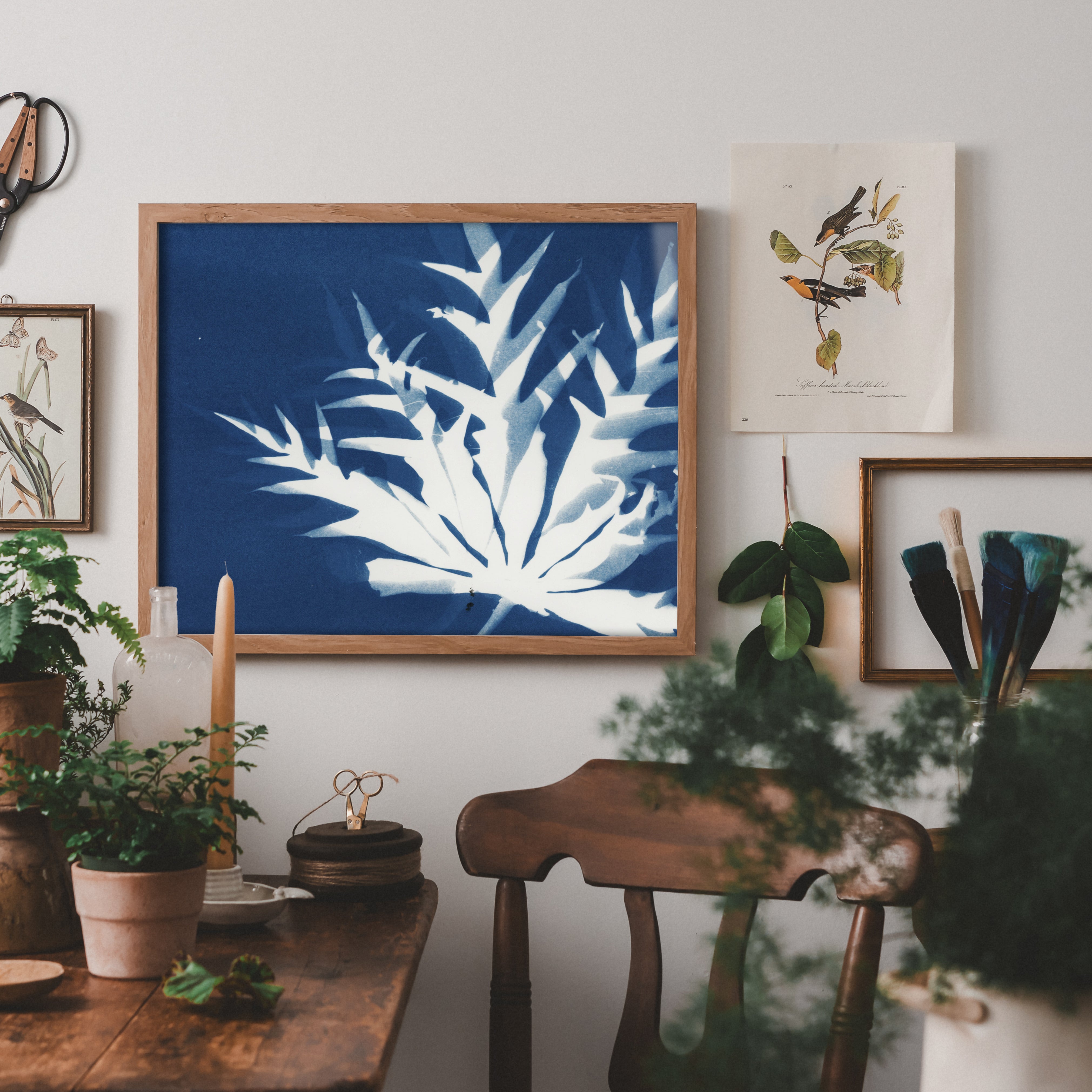 February Sun β Atwater Designs