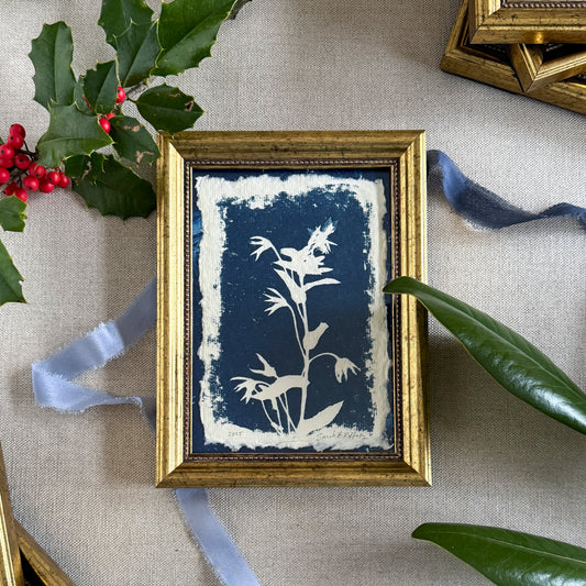 Willow Springs Specimens 3 - Gold Framed Original