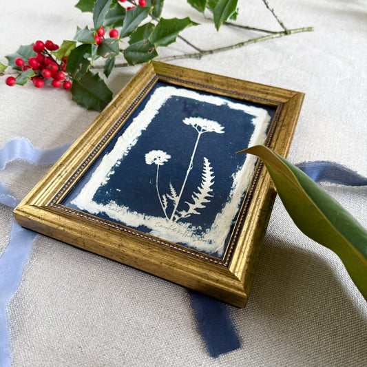 Willow Springs Specimens 4 - Gold Framed Original