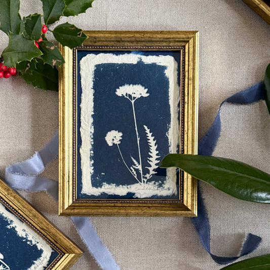 Willow Springs Specimens 4 - Gold Framed Original