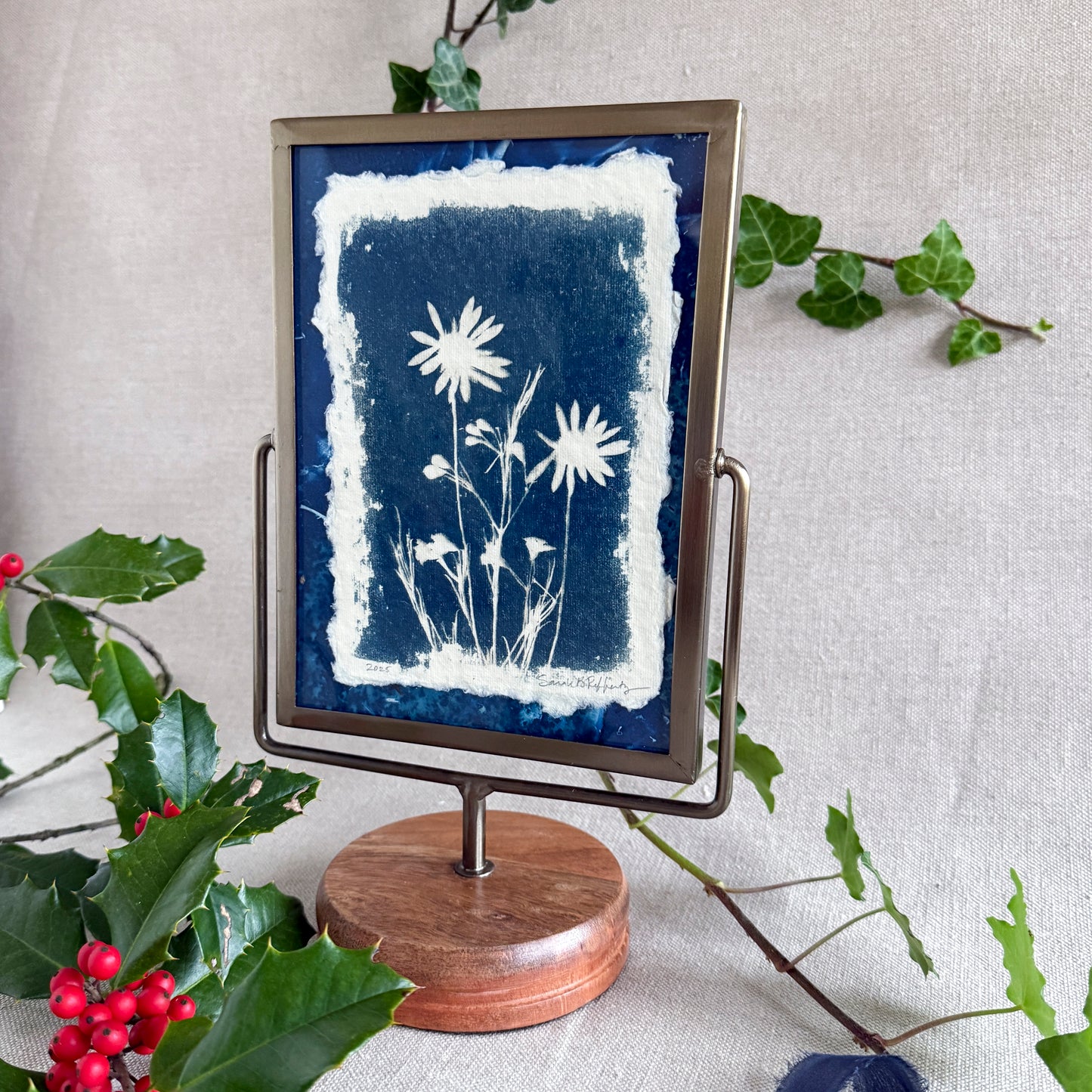 Willow Springs Specimens 10 - Framed Original