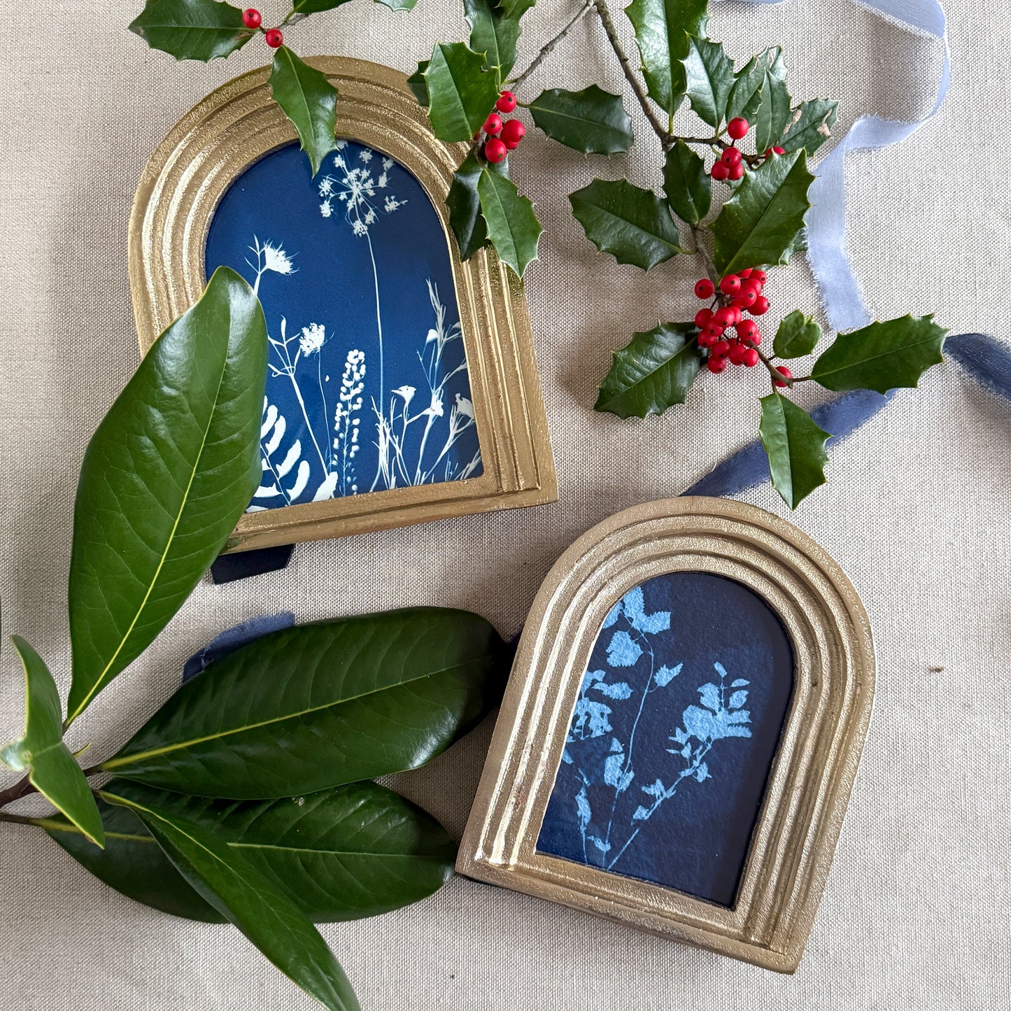 Willow Springs Specimens 12 - Framed Original