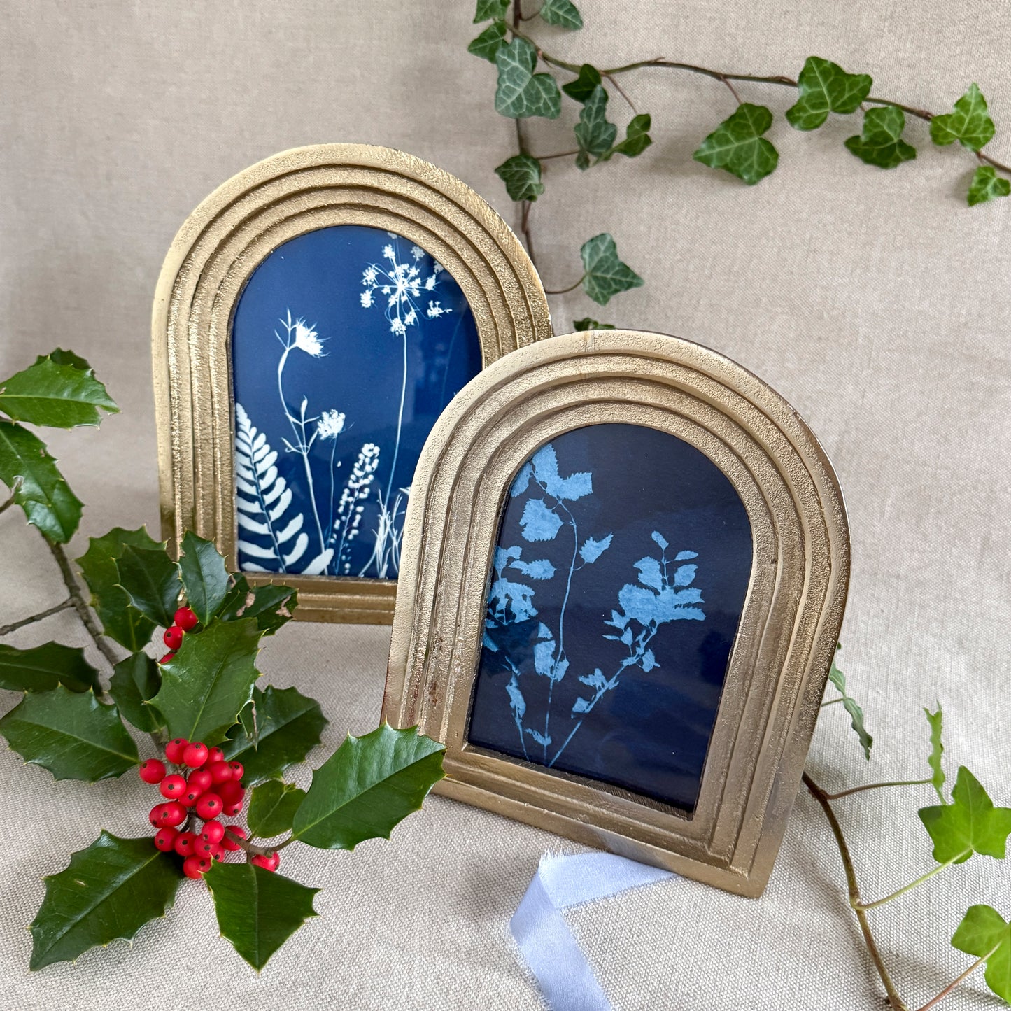 Willow Springs Specimens 12 - Framed Original