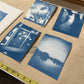 August 1 - Cyanotype Photographs